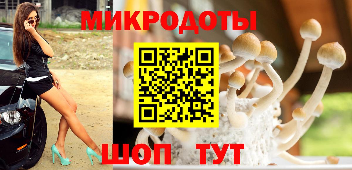 Галлюциногенные грибы GOLDEN TEACHER  Вход с VPN  Кизилюрт 